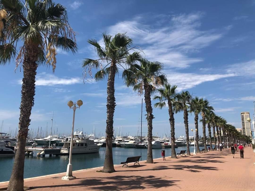 Casaturis Estudio Vistas Increibles En Centro De Alicante A115 Екстериор снимка